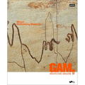 Gam. 17: Wood. Rethinking Material