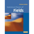 Statistical Physics of Fields
