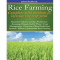 Rice Farming complete with methods to increase rice crop yield