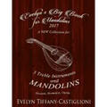 Evelyn's Big Book for Mandolins 2017: A Collection of Tunes for 3 Mandolins