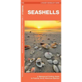 Seashells: A Folding Guide to Familiar North American Species