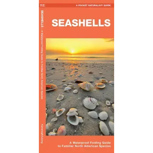 Seashells: A Folding Guide to Familiar North American Species