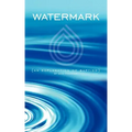 Watermark: An Explanation of Baptism