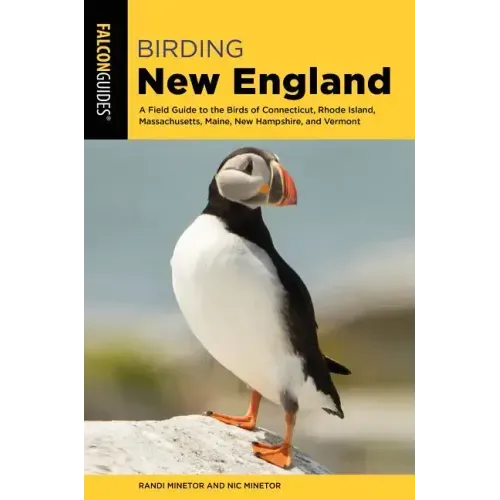 Birding New England