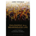 Philosophy in a Meaningless Life