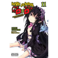 High School DXD, Vol. 11 (Light Novel): Volume 11