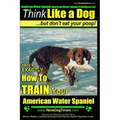 American Water Spaniel, American Water Spaniel Training AAA AKC: Think Like a Dog, but Don't Eat Your Poop! American Water Spaniel Breed Expert Traini