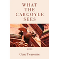 What the Gargoyle Sees