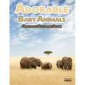 Adorable Baby Animals Grayscale Coloring Book: 32 Sweet Pictures to Color Featuring Baby Camels, Pigs, Ducks, and Much More
