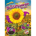 See a Sunflower Grow