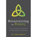 Resurrecting the Trinity: A Plea to Recover the Wonder and Meaning of the Triune God