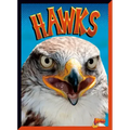 Hawks