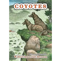 Coyotes