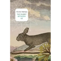 The Rabbit Between Us
