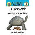 Discover Turtles & Tortoises