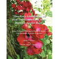 Does Every Little Bud On the Bush That Grows Try To Make Room For Another Rose?