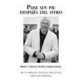 Puse Un Pie Después Del Otro: Dr. En Derecho, Teologia, Psicología, Director Espiritual.