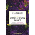 Plum Bun: A Novel Without a Moral