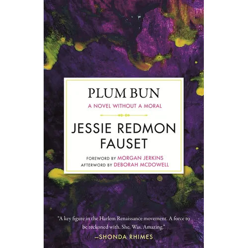 Plum Bun: A Novel Without a Moral - Paperback