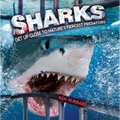 Sharks: Get Up Close to Nature's Fiercest Predators