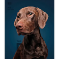 The Dog Encyclopedia: The Definitive Visual Guide