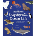 The Illustrated Encyclopedia of Ocean Life: A Visual Voyage Through an Underwater World