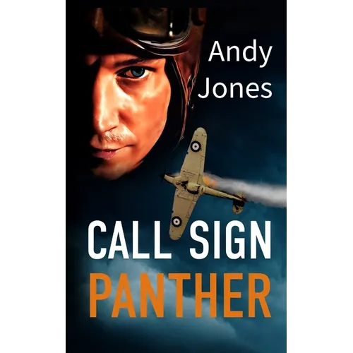 Call Sign Panther: They flew and fought together