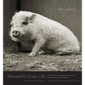 Allowed to Grow Old: Portraits of Elderly Animals from Farm Sanctuaries