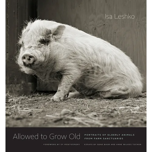 Allowed to Grow Old: Portraits of Elderly Animals from Farm Sanctuaries