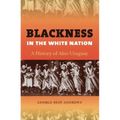Blackness in the White Nation: A History of Afro-Uruguay
