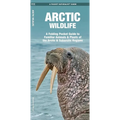 Arctic Wildlife: A Folding Pocket Guide to Familiar Animals & Plants of the Arctic & Subarctic Regions