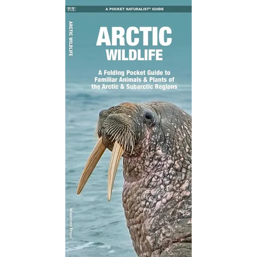 Arctic Wildlife: A Folding Pocket Guide to Familiar Animals & Plants of the Arctic & Subarctic Regions