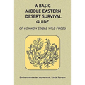 A Basic Middle Eastern Desert Survival Guide
