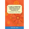 A Lamp's Illumination Condensed Advice on Great Completion's Thorough Cut