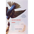 Never-Ending Birds: Poems