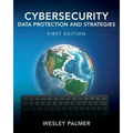 Cybersecurity - Data Protection and Strategies: First Edition