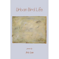 Urban Bird Life