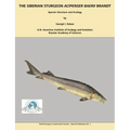 The Siberian Sturgeon Acipenser Baerii Brandt: Species Structure and Ecology