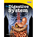 The Digestive System