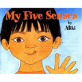 My Five Senses
