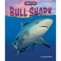 Bull Shark