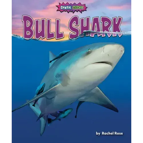 Bull Shark