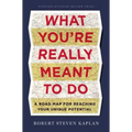 What You're Really Meant to Do: A Road Map for Reaching Your Unique Potential