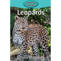 Leopards
