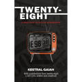 Twenty-Eight: Stories from the Section 28 Generation