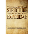 The Immaterial Structure of Human Experience