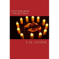 Into the Bend: A W.A.K.S. Novel