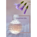 Essential Oils: Beginner's Guide To Essential Oils and Aromatherapy