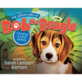 The Adventures of Bob the Beagle: Finding A New Family
