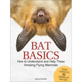Bat Basics: How to Understand and Help These Amazing Flying Mammals